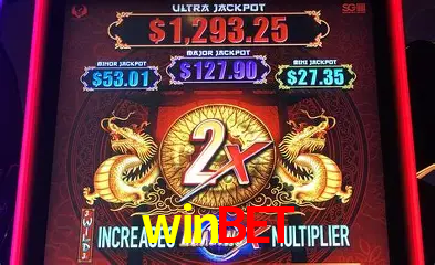 Casino Ao Vivo winbet