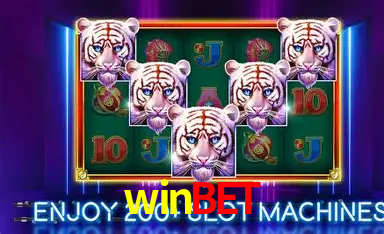 A Popularidade dos Caça-Níqueis no winbet